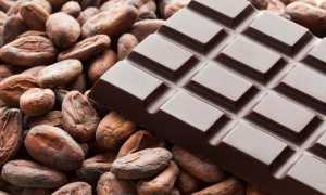taza-chocolate-cocoa-beans-e1445541047366