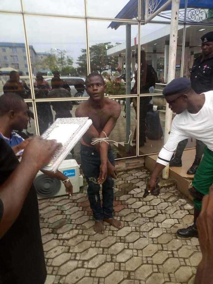 Cultists Who Allegedly Killed 100L Ndu Student Over iPhone, Arrested