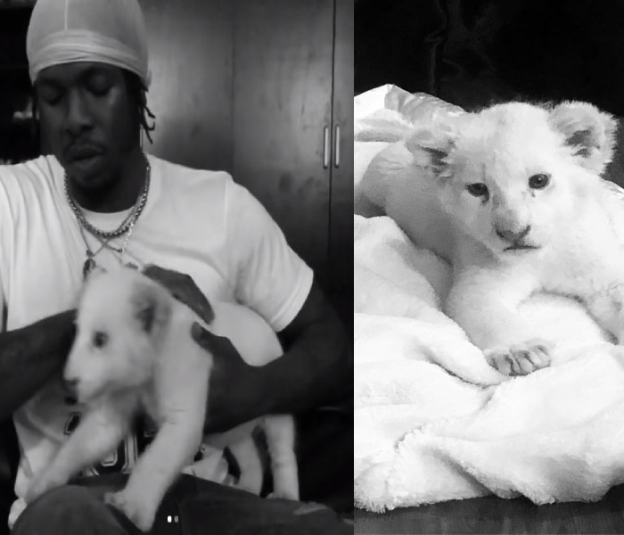 Fans, Davido, Simi and other celebs react after Runtown Buys Himself A Pet Lion