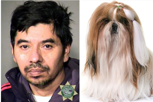 Man Rapes Dog Out Of Frustration After Fiancee Ignored His Calls And Texts